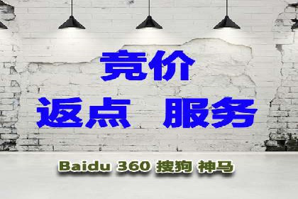 深度解析：SEM竞价优化提升ROI的案例